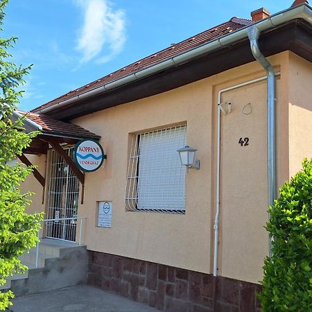 AdandKoppany Vendeghazアパートメント エクステリア 写真